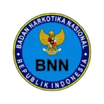 BNN Logo