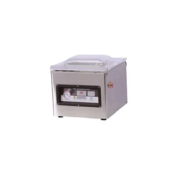 Mesin Vacuum Packaging Portable DZ-300/PD