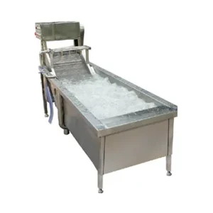 Mesin Pencuci Buah & Sayur Air Bubble QX-22 – Efisien dan Higienis